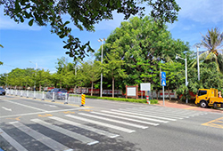 225國(guó)道精細(xì)化提升(三亞段)